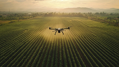 Drones na agricultura de precisão com imagens NDVI
